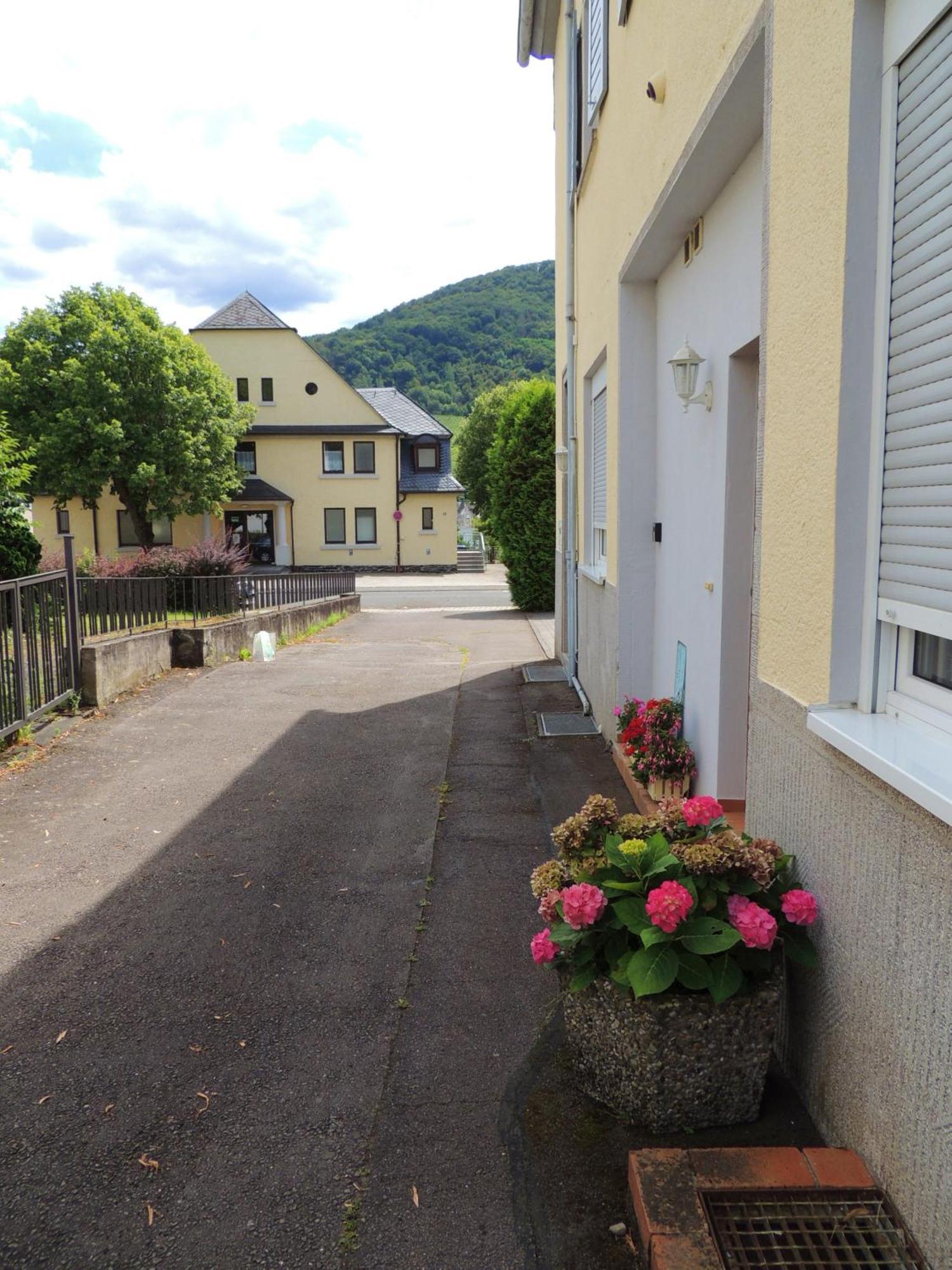 Ferienwohnung Afrika Bernkastel-Kues Luaran gambar